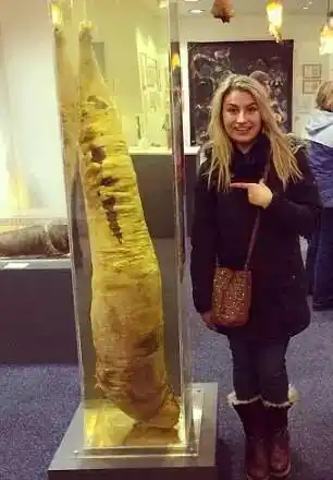 男人看了会流泪,全世界最大的丁丁就在这里!