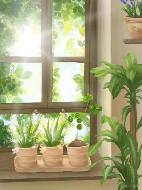 午后阳光下的美好