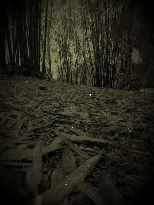 那些快乐又难忘的时光