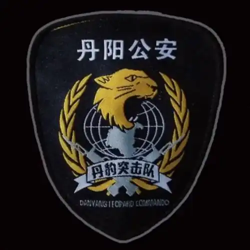 帅全国公安特警标志臂章图集