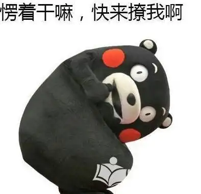 实力撩汉表情包