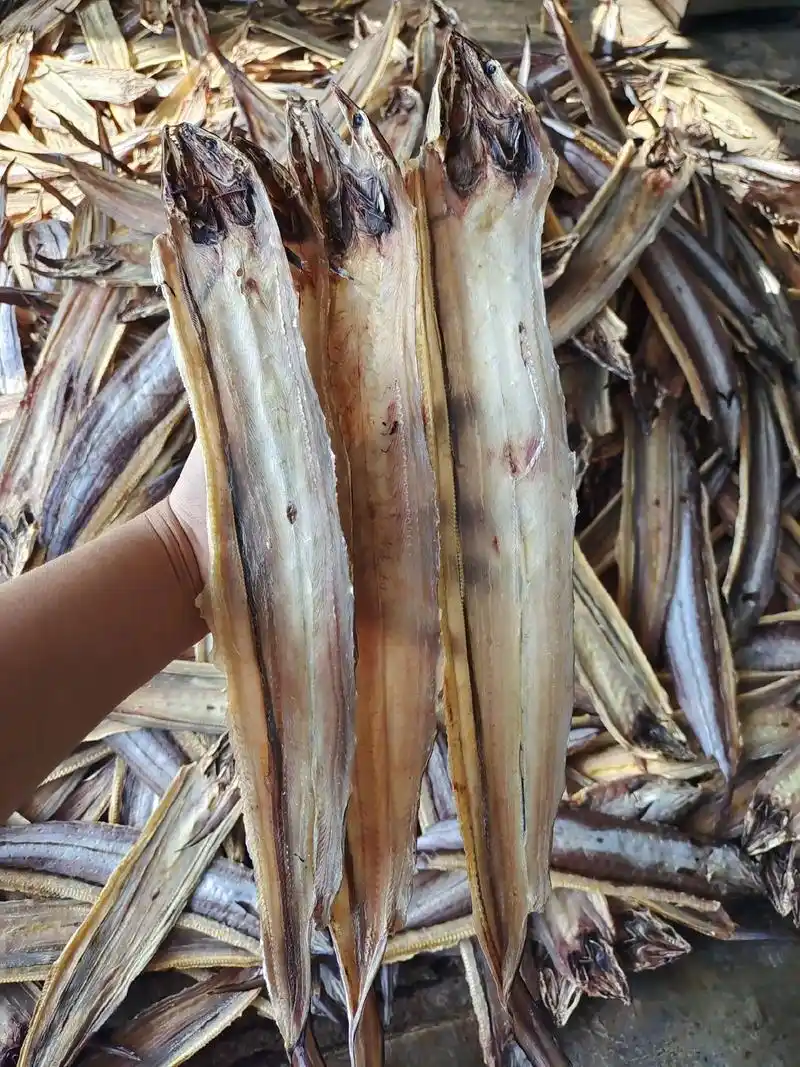 海南本地小麻鱼干【小鳗鱼干】一点盐巴都没有,纯淡干!一斤约1 - 抖音