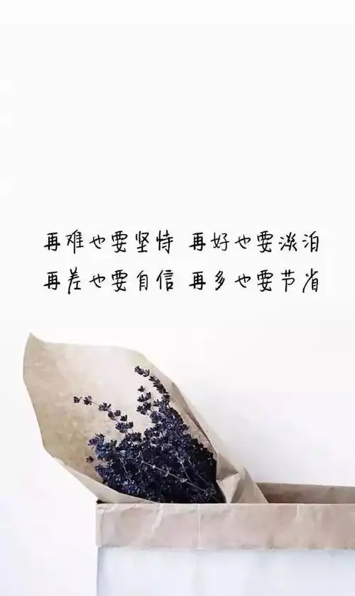 心灵鸡汤经典语录励志经典句子句句穿心