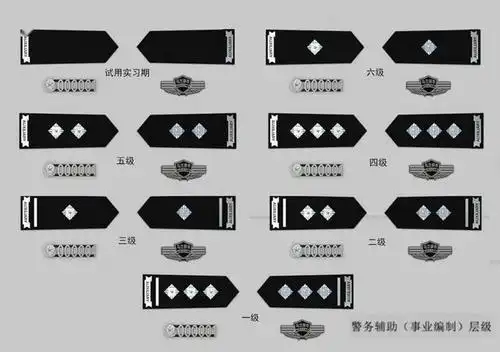 这家公安局正式宣布辅警改革!最新款辅警肩章,警号,胸徽很漂亮!