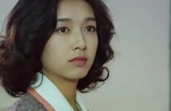 过把瘾剧情介绍过把瘾演员表