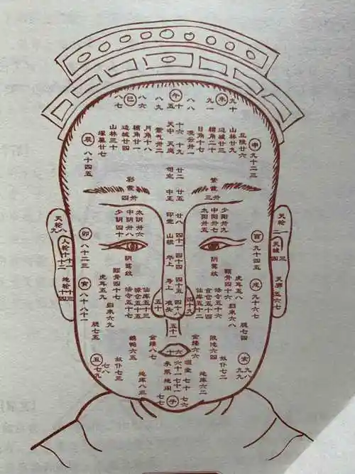 志算命图面相谁来给我看一个算命的面相图片