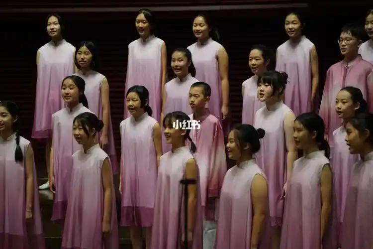 飞越彩虹合唱团"湾区梦·中国梦"音乐会