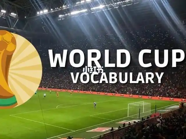 2022卡塔尔足球世界杯这些词汇看球必备