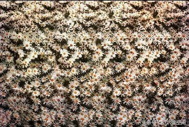 15张裸眼3d图带你重温儿时的记忆感受3d图的魅力