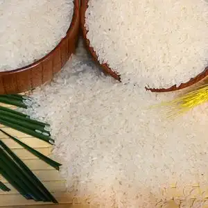 绅迪佳内蒙草原长粒香大米绿色食品兴安盟10斤