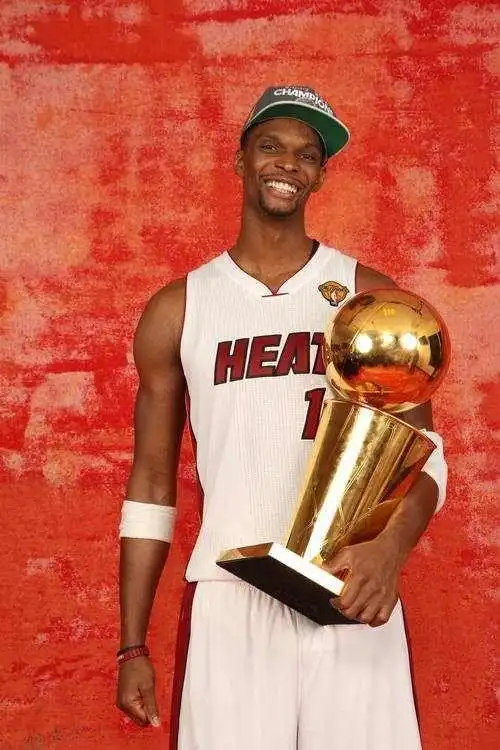 3,波什:两次总冠军,一次奥运冠军