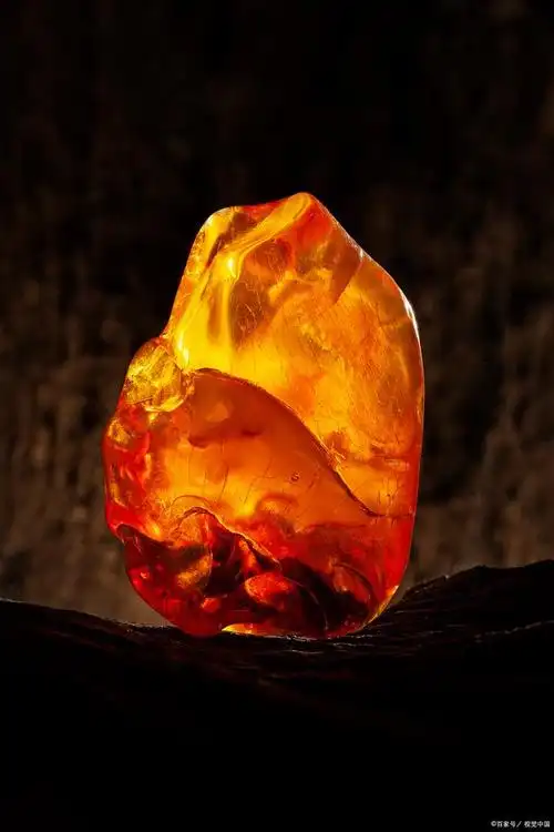 琥珀是什么?美丽的千里路
