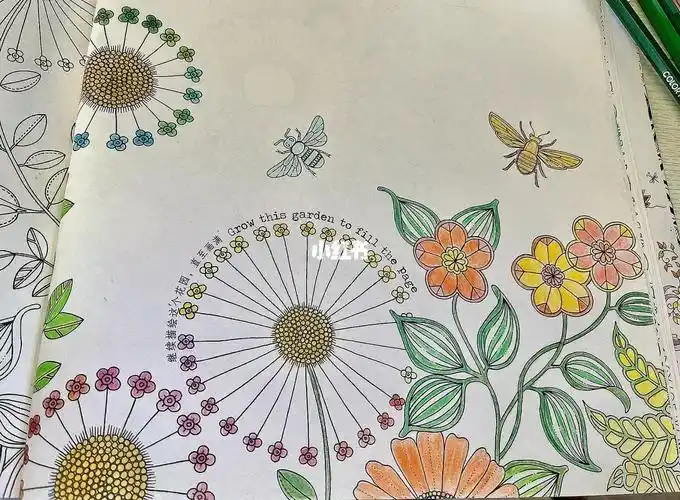 秘密花园涂色