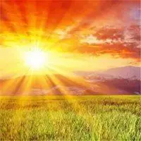 黄颜色风景寓意好微信头像【点击鼠标右键下载】