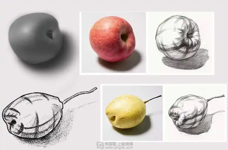 作业:学原画要不要学素描之水果结构素描画法训练 - 迷失的蜗牛