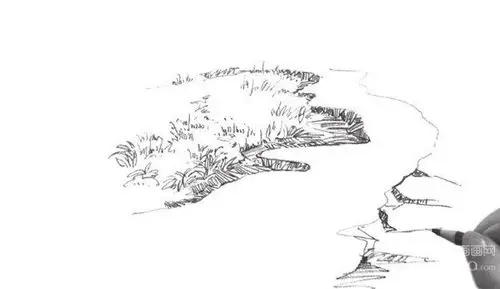 速写草丛的光影效果技法步骤三