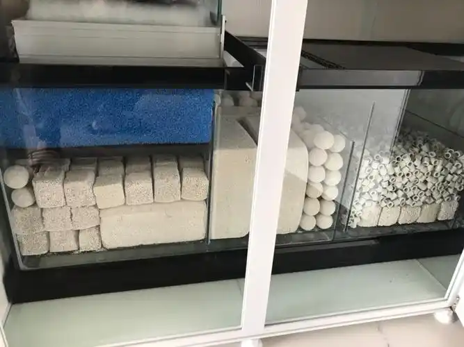 求助锦鲤鱼缸滤材摆放