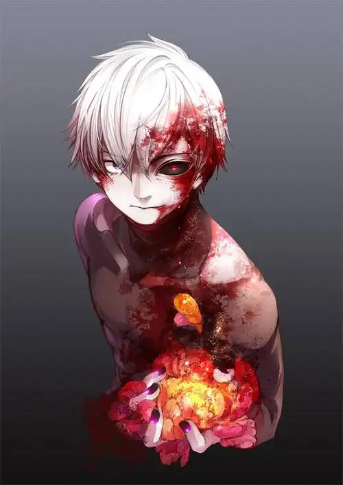 二次元福利金木研专场不喜勿入