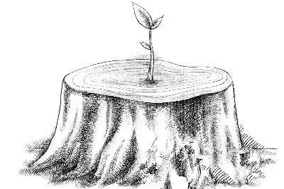 花落花又开,春去春又来——为单亲爸妈招来第二春