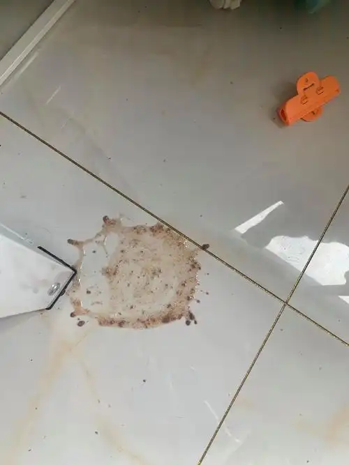 【讨论】吃完小李子呕吐