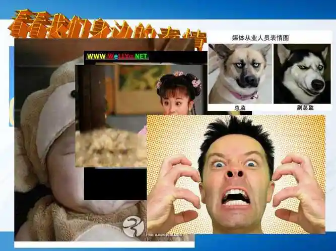 《大赛之微表情》ppt课件