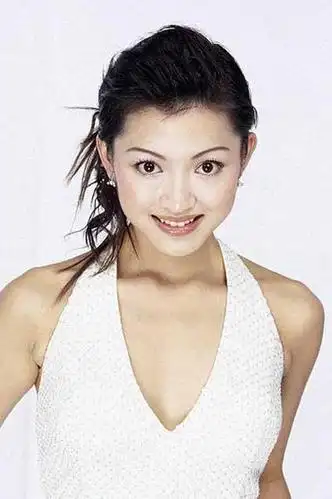 《生死线》饰小红(黑社会老大女友)    2002年《我的美丽乡愁》饰coco