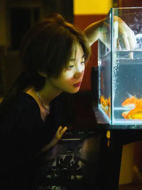 过期的凤梨罐头