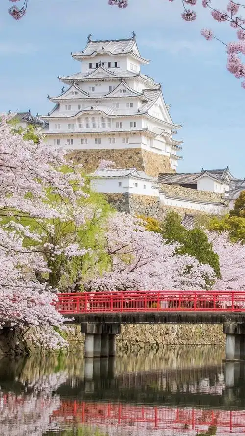 日本,姬路城,樱花,桥,河,春天 iphone 壁纸