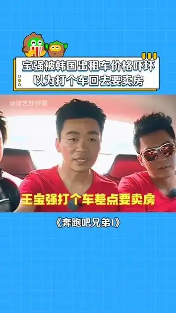 王宝强在韩国打车被价格吓坏奔跑吧兄弟第一季 王宝强 李晨