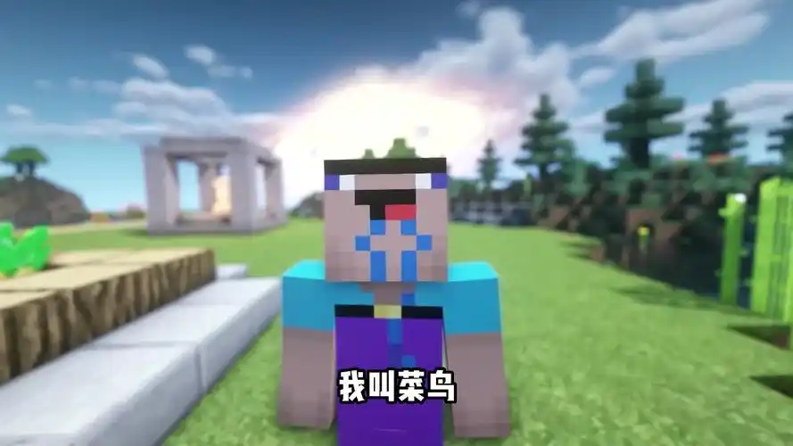 【mc搞笑】菜鸟相亲记