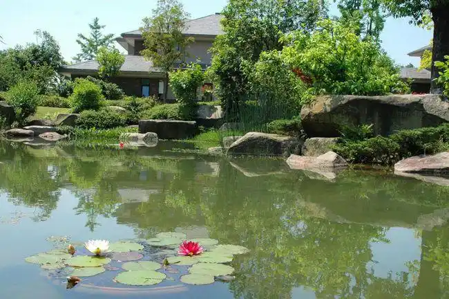 干货几种驳岸工程的施工技术要点及注意事项