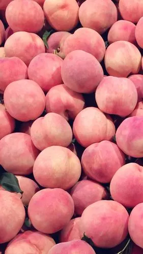 壁纸背景水蜜桃