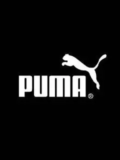 肯达信puma彪马验厂咨询 target验厂辅导 disne