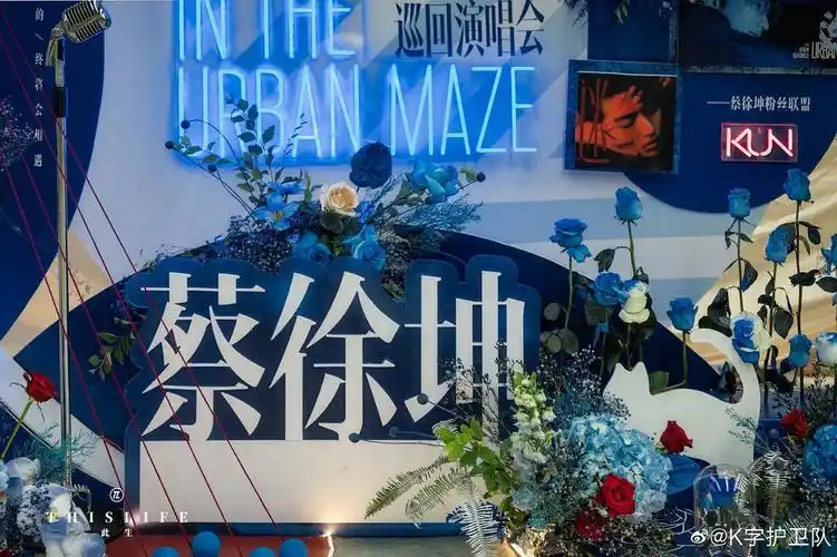 粉丝的应援花墙