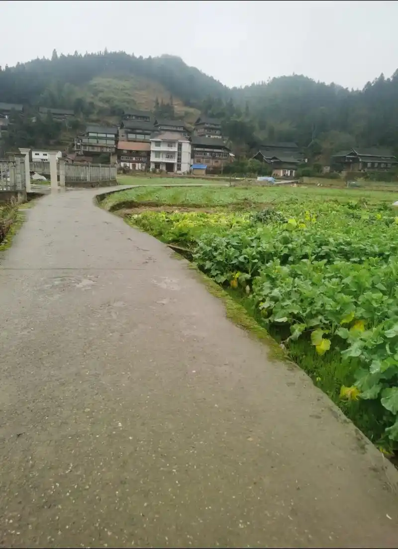从小长大的地方 #乡间小路自然风景 #原生态乡村生活    - 抖音