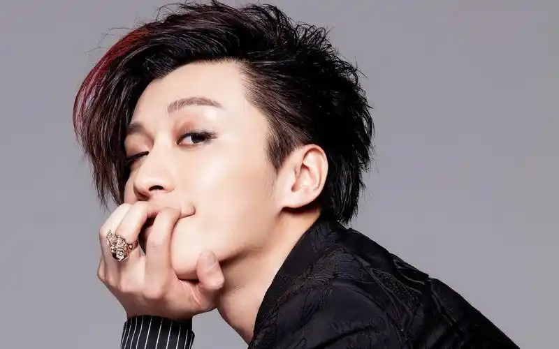 乔任梁桌面壁纸之舞台之王