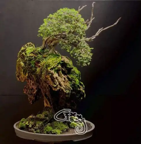 第二届国际盆景艺术与文化双年展暨第二届世界盆景艺术创作大会