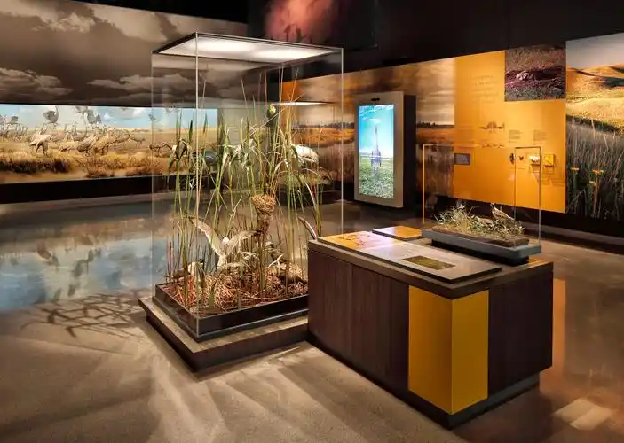 明尼苏达大学校园贝尔自然历史博物馆