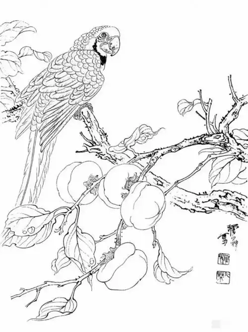 白描果蔬,很实用的白描绘画!_中国画_零二七艺考