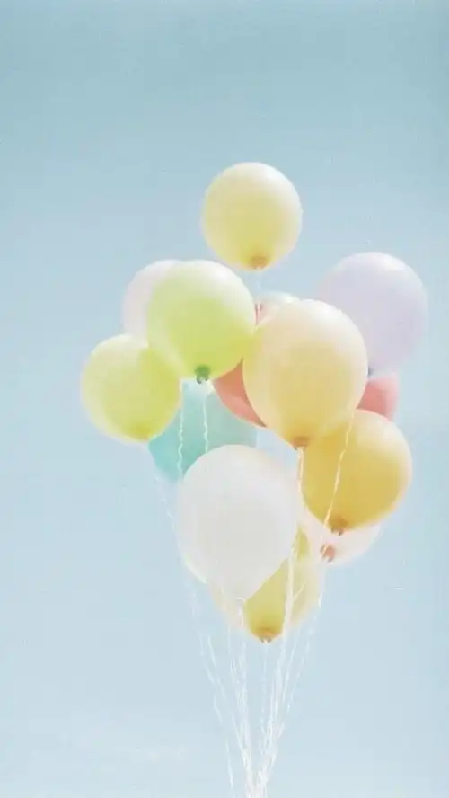 唯美植物静物,高清图片,手机锁屏桌面-壁纸族