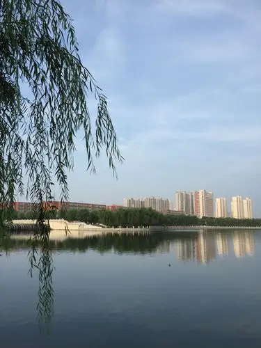 郑州市中原区枫香街