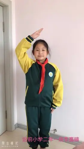 少先队礼仪敬队礼