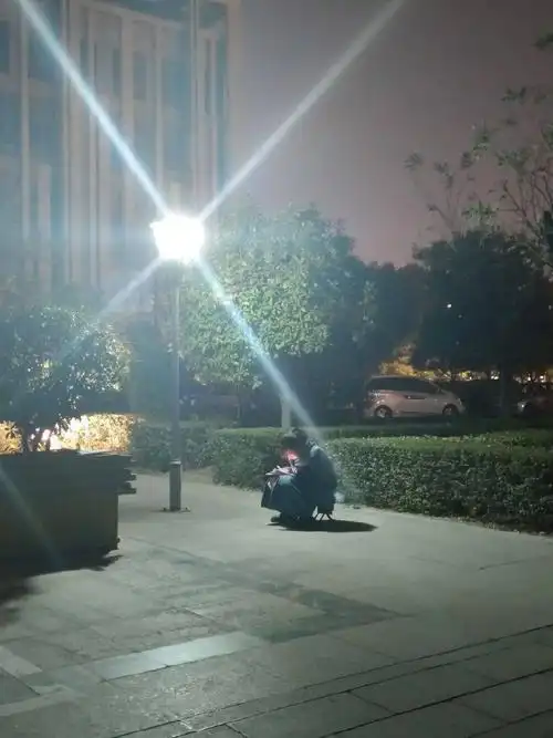 一个追梦人路灯下 小道旁迎曦而行 戴月而归