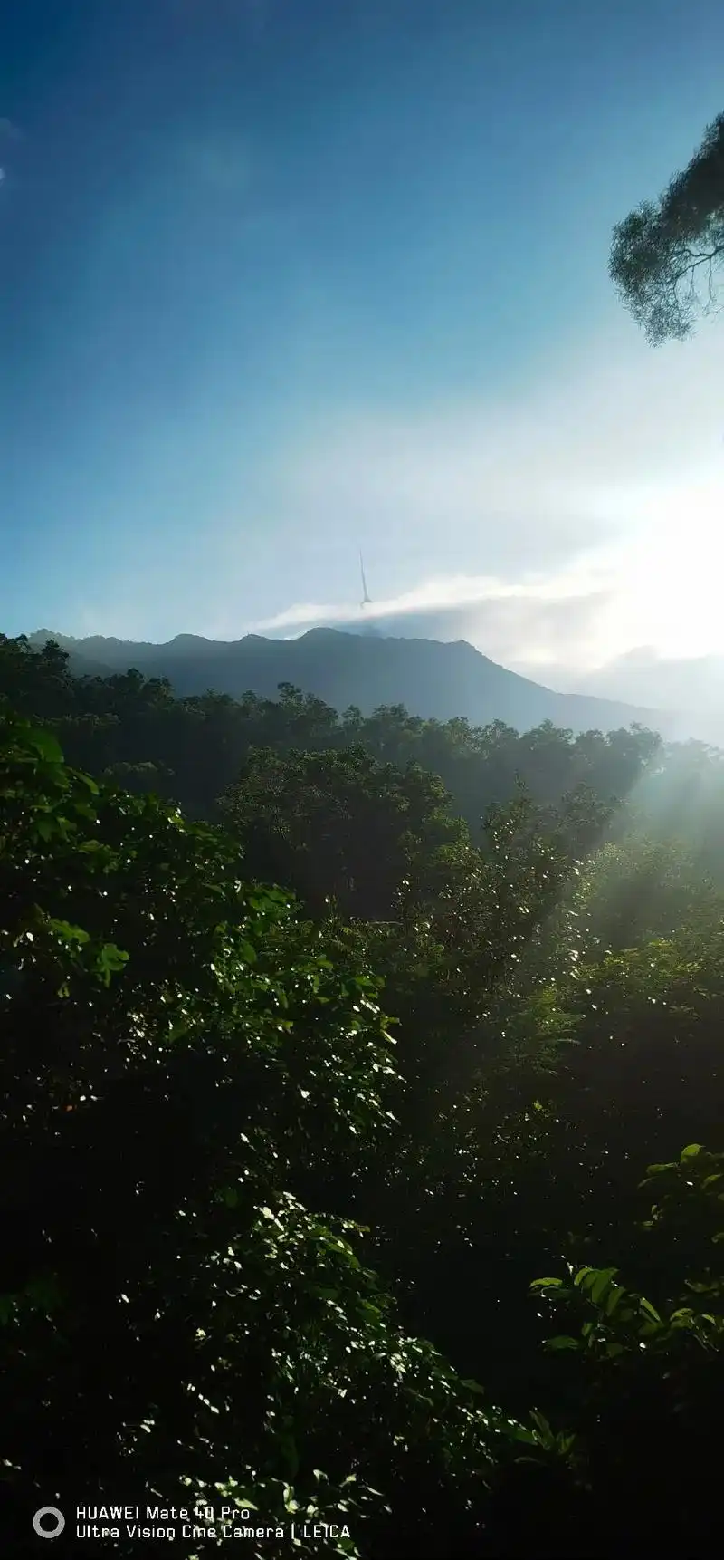 清晨一一#空气清新环境优美 #好风景好心情 #美好的一天从清 - 抖音