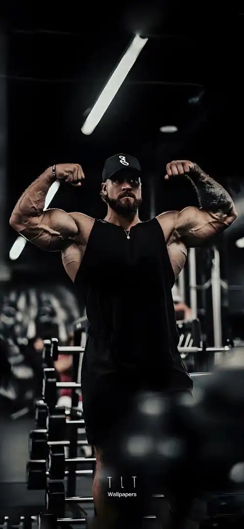 壁纸##手机壁纸