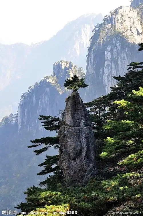 闻名的黄山在我国安徽省南部,那个地方风景如画,有很多奇形怪状的石头