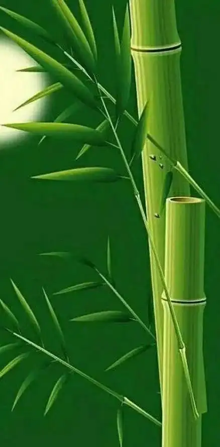 有什么保护眼睛的手机壁纸,求推荐? - 头条热点 - 网创网