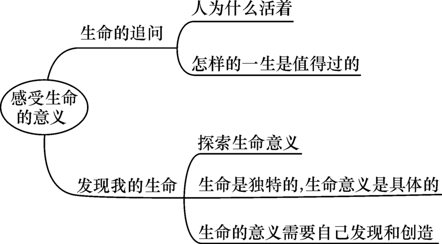 第十课 绽放生命之花 第1课时 感受生命的意义