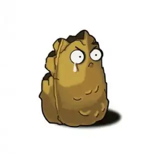 植物大战僵尸 之坚果图片