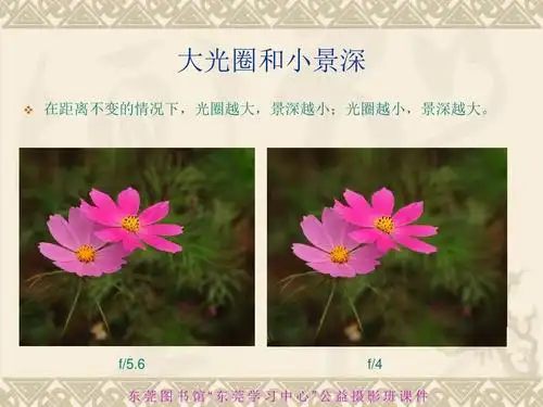 朱文杰摄影课件-05-景深控制